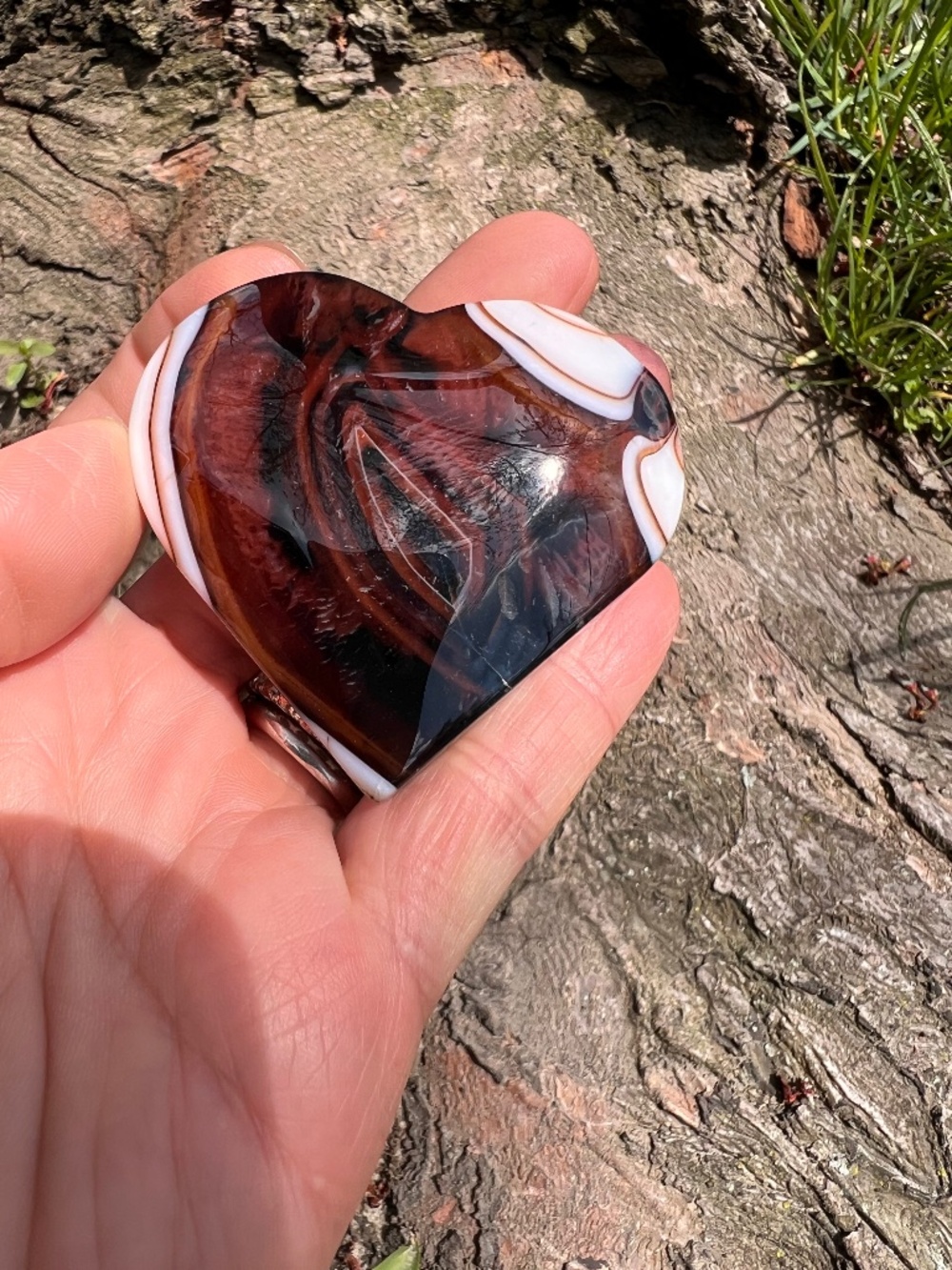 Sardonyx (5) heart with stand | crystal